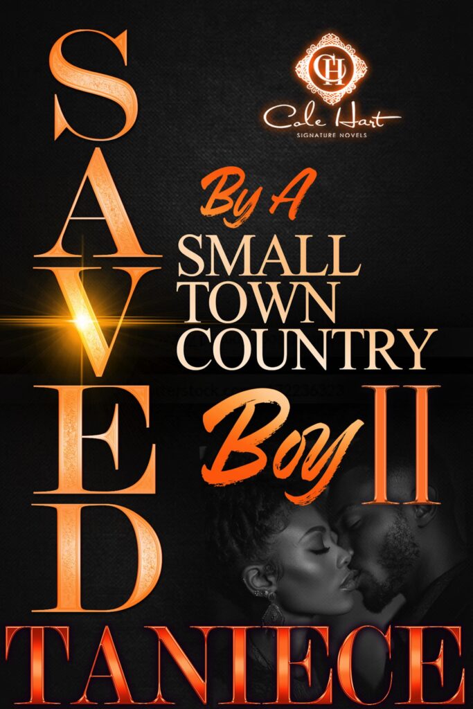 Saved By The Small Town Country Boy 2